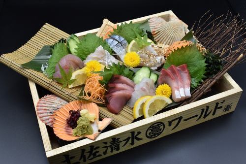 Assorted sashimi directly