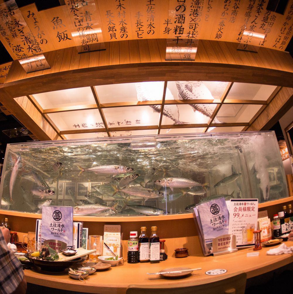 高知県土佐清水市から生きたまま直送される旬の鮮魚を堪能！