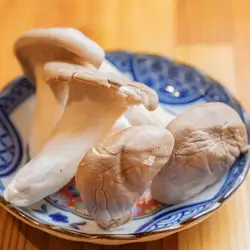 표고 버섯