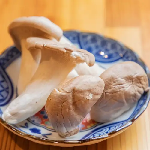 표고 버섯