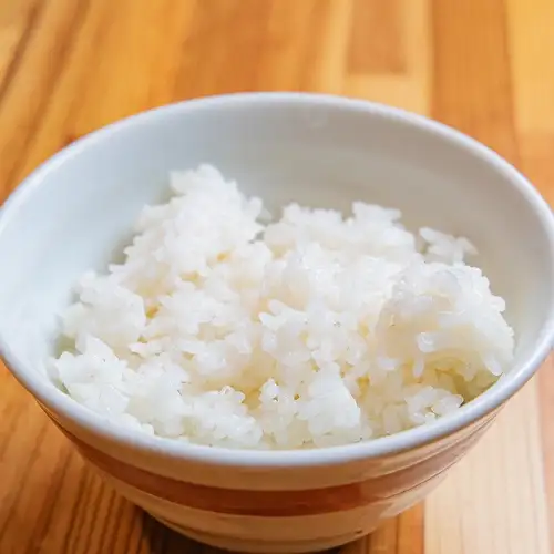 화이트 밥 중/대