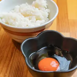 조건 타마코의 TKG