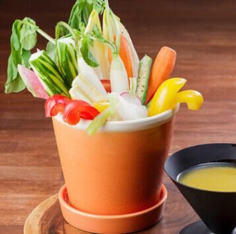 鉢植え野菜のバーニャカウダ