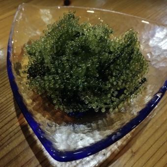 海ぶどう
