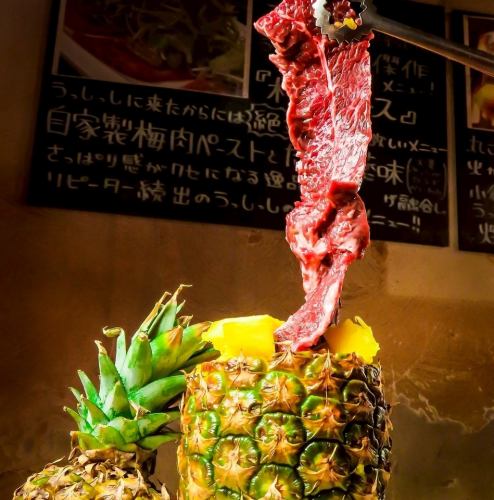 新作!南国サガリ