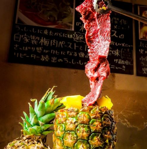 ●新作!南国サガリ1990円(税込)★クーポンご利用で1000円(税込)★12月24日・25日ななんと無料でプレゼント