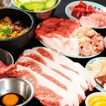 【お食事のみ】4,500コース◆満腹間違い無しの13品！
