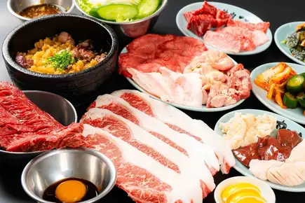 【お食事のみ】4,500コース◆満腹間違い無しの13品！