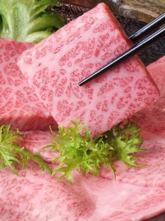 【個室完備】最高級霜降り和牛ザブトン&カルビ&ホルモンなど全10品『座布団肉コース』4500円