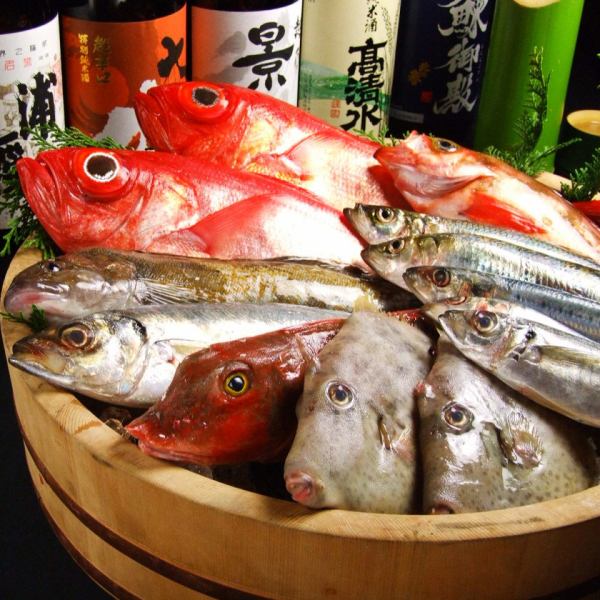 We will cook the fish we caught! Seasonal fresh fish "Statatsuzukuri"! We also have courses perfect for banquets ♪
