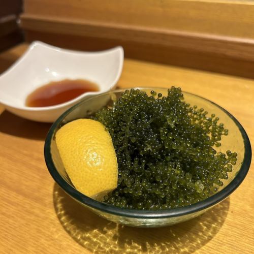 沖縄県産生海ぶどう