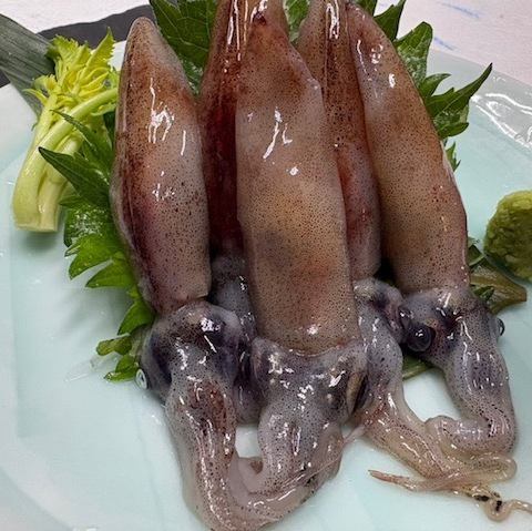 ホタルイカ刺し身