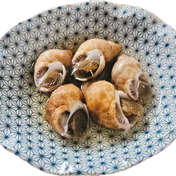 バイ貝のおでん