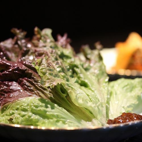 本日の巻き野菜