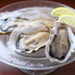 Assortment of 4 kinds of raw oysters