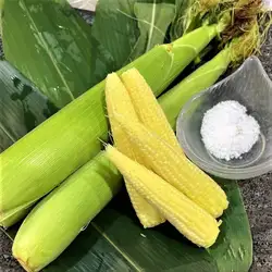 炭烤嫩玉米