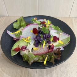 カラフル農家 小山農園有機野菜サラダ