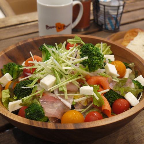 Bonabon salad 2-3 servings 880 yen