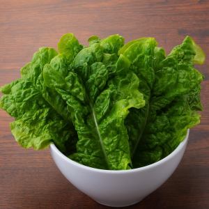 Lettuce set