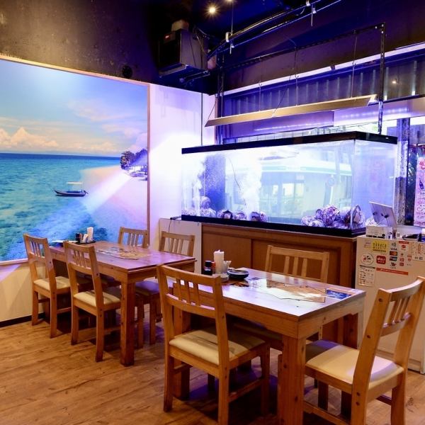 大きな生け簀に注目！活魚、活貝を間近で見ることができます！獲れたての美味しさをご堪能ください！