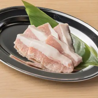 Swine Toro
