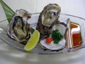 Rock oysters of Shonai