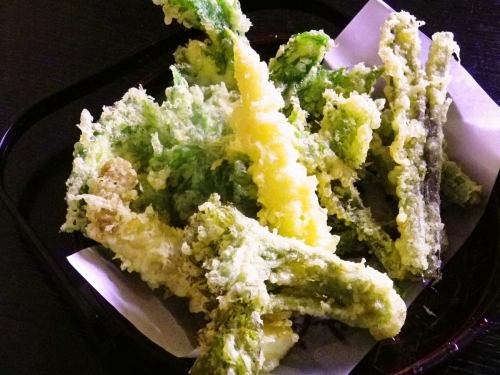 Spring edible wild plants tempura