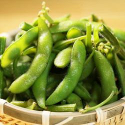 Green soybeans with branches