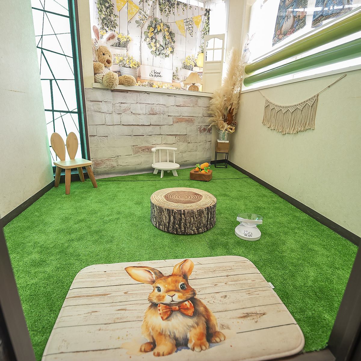 写真映えスポットでうさぎさんと触れ合い♪デートにおすすめ