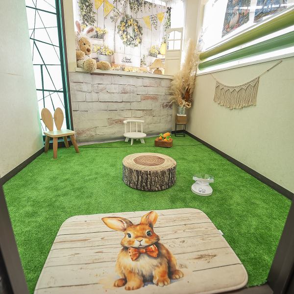 【うさんぽルームプラン（30分600円＋ドリンクセット】うさぎと一緒に、リラックスして過ごせる「うさんぽルーム」。広すぎず落ち着く個室空間で、インスタ映え間違いなしの“うさぎ撮影スポット”も完備。店内で購入したドリンクならテイクアウトカップでの持ち込みOK。いつものお散歩とはちょっと違うひとときを♪