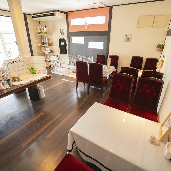 【お店まるごと貸切！映えも癒しも◇◆】8名～OKの2時間３００貸切プラン（1人ワンフードオーダー制）は、うさぎ好きが集まるイベントや推し会にぴったり！ふわふわ空間で、うさぎと一緒にくつろぎながら、おしゃべり＆撮影を楽しんで。プライベート空間だから、うさちゃんものびのび！