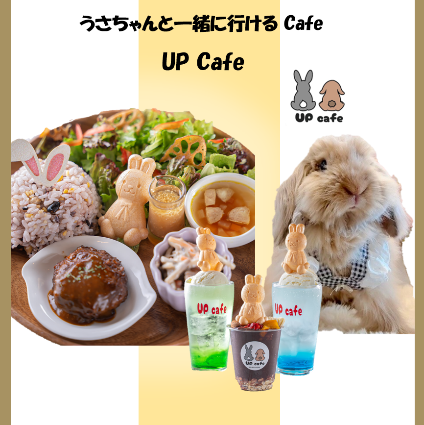 うさぎオーナー・うさぎちゃん同士の交流の場にもなる！うさぎがコンセプトのカフェ