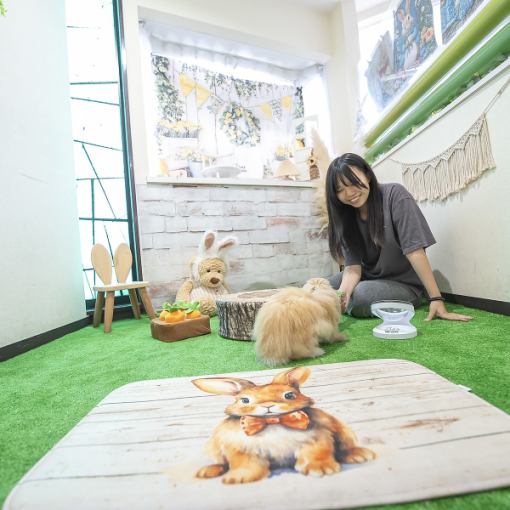 【おうちのうさぎさんと遊び尽くす!】うさんぽスペース90分+うさんぽルーム30分のご予約