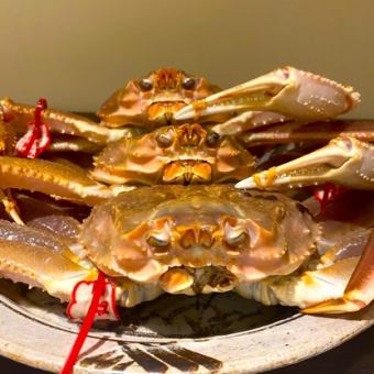 【極上活松葉蟹尽くし会席】最高級!冬の味覚の王様を心ゆくまで堪能出来る至極のコース