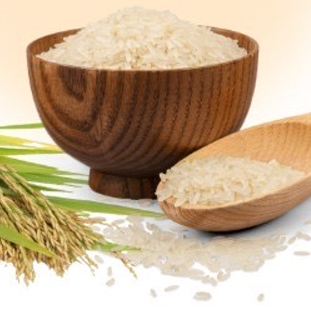 京都産コシヒカリ使用!炊き立てご飯が主役のランチ♪