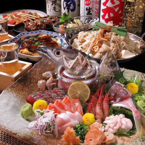 鮮度抜群◎厳選し仕入れた鮮魚でもてなす一品料理