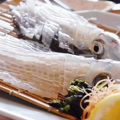 Freshly caught squid sashimi