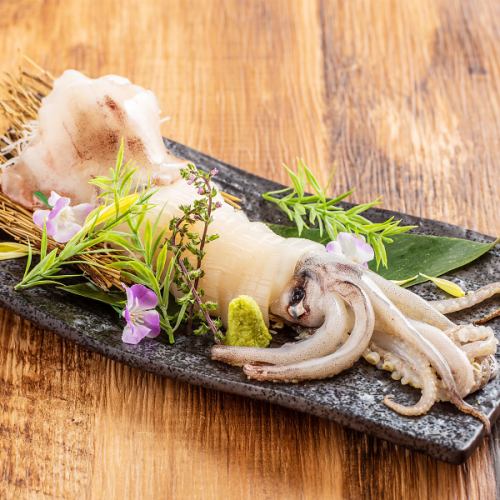 Fresh live squid delivered to you in the morning in Hakodate