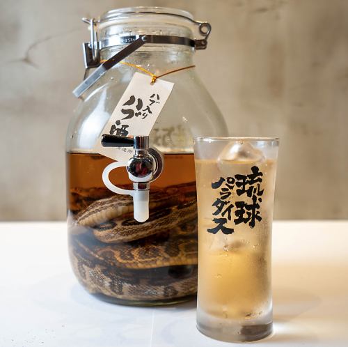 ハブ酒はショットで！！