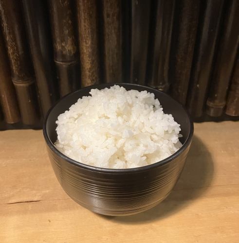 ライス(小・中・大)