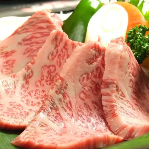 Wagyu A5's fine meat