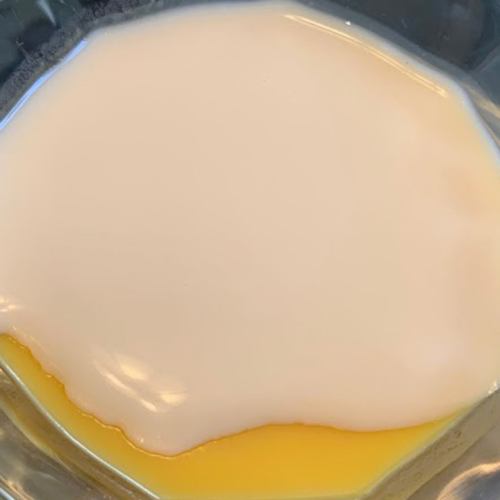 망고 푸딩