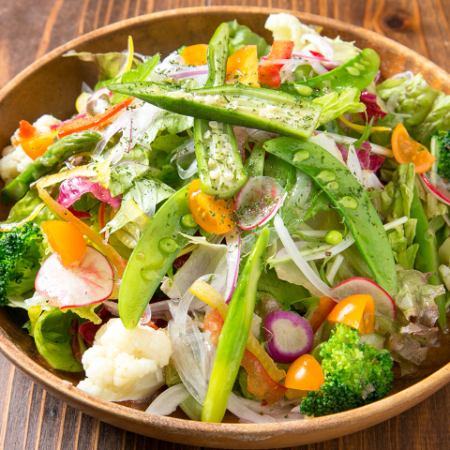 Libre salad (seasonal vegetables)