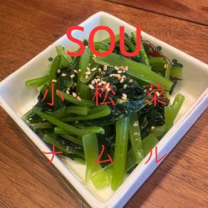 소송 채 나물