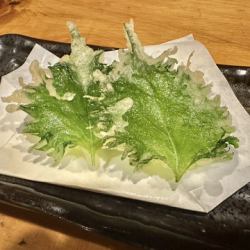 紫苏（两片叶）