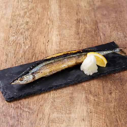 Grilled salted saury