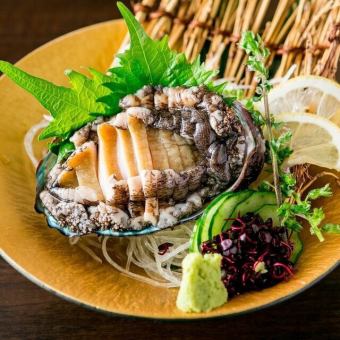 Abalone sashimi