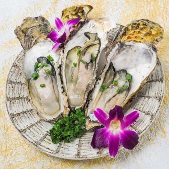 Fresh raw rock oysters with freshly squeezed ponzu sauce