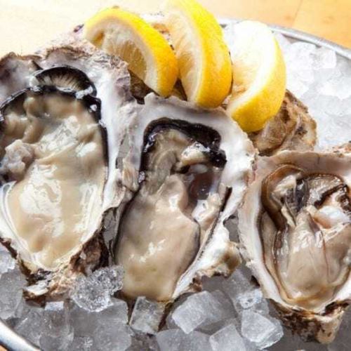 Steamed rock oysters with freshly squeezed ponzu sauce