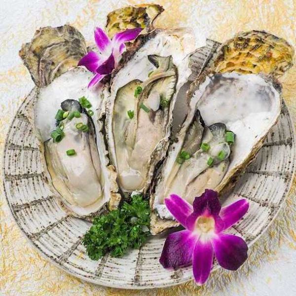 Rock oysters (raw, steamed, grilled)